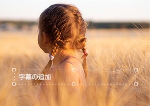字幕の追加