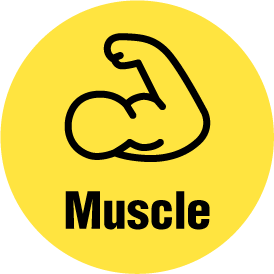 トレーニング内容