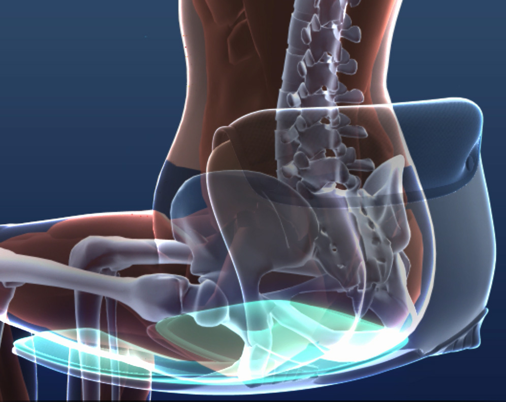 骨盤サポート機能