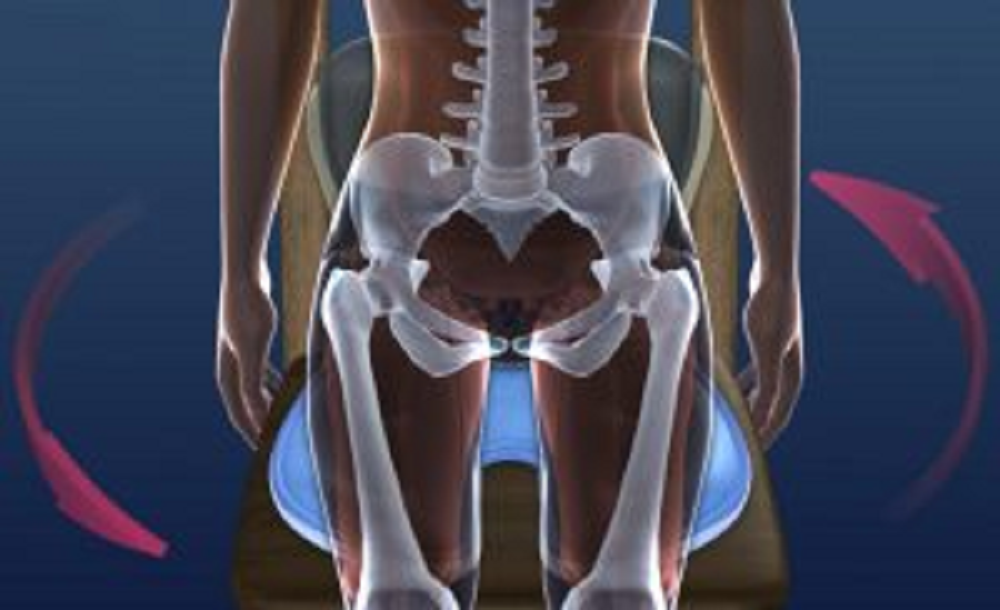 骨盤バランス機能