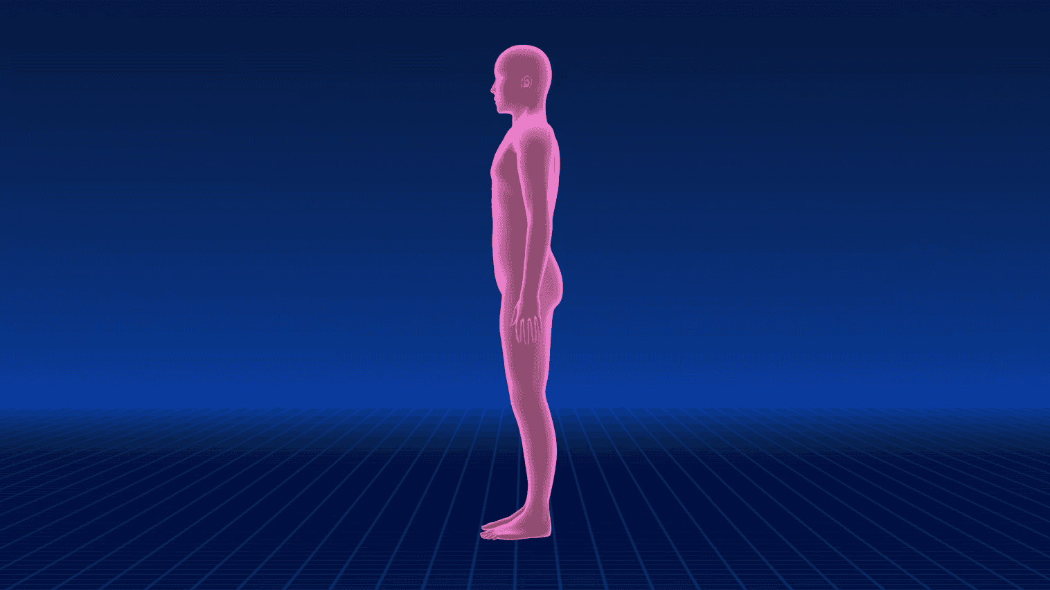 少し高めの作り