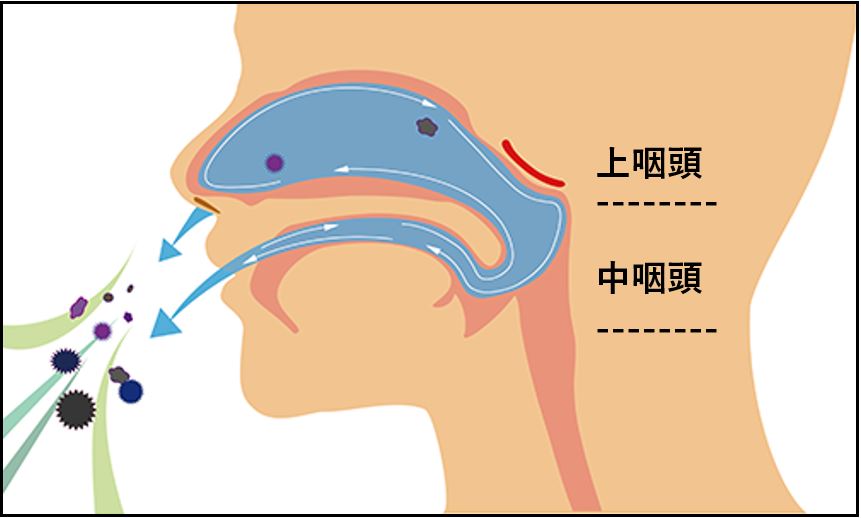 電動鼻うがい器の場合