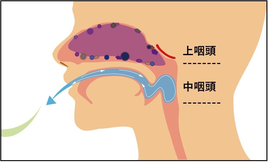 うがいのみの場合