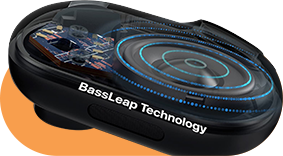 独自の BassLeap アルゴリズム