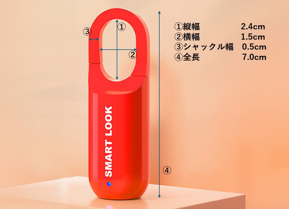 サイズ
