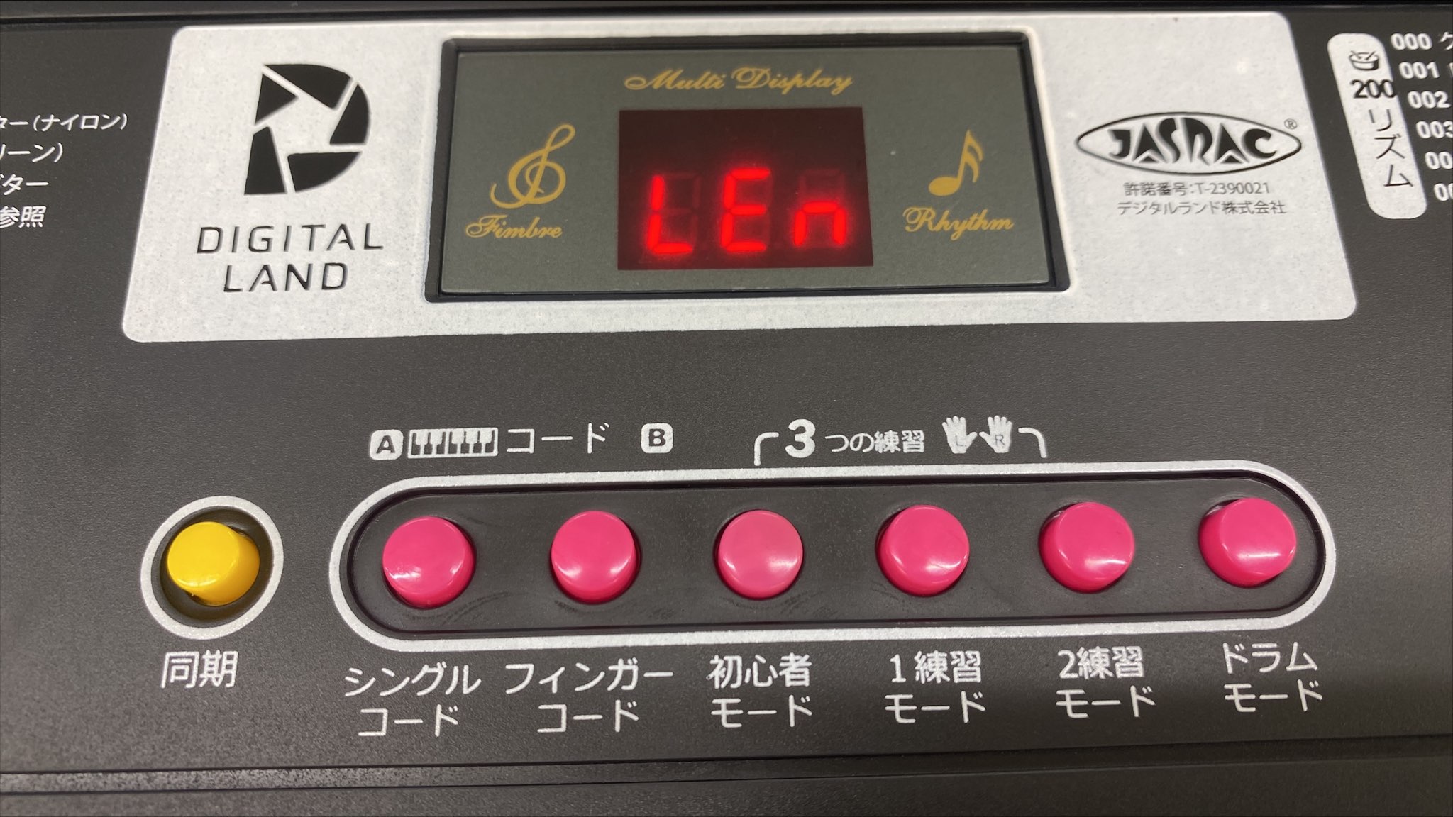 本体