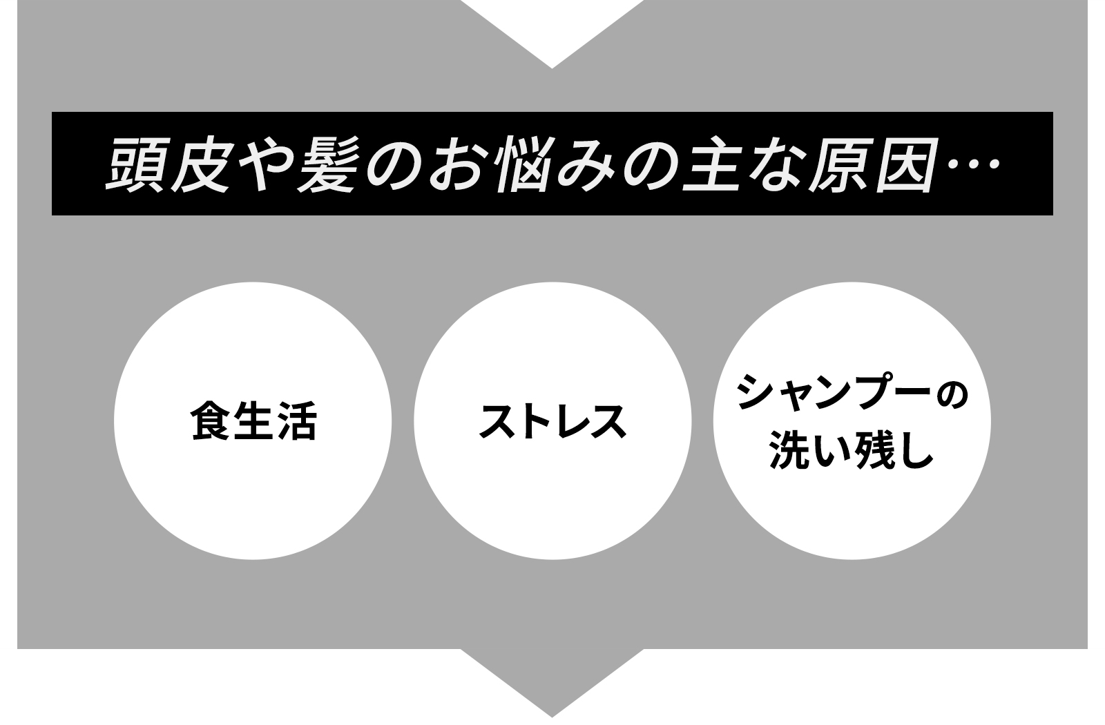 ブラシ付きシャワーヘッド - 頭皮の奥の皮脂汚れまできれいに