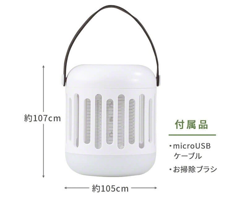 サイズ
