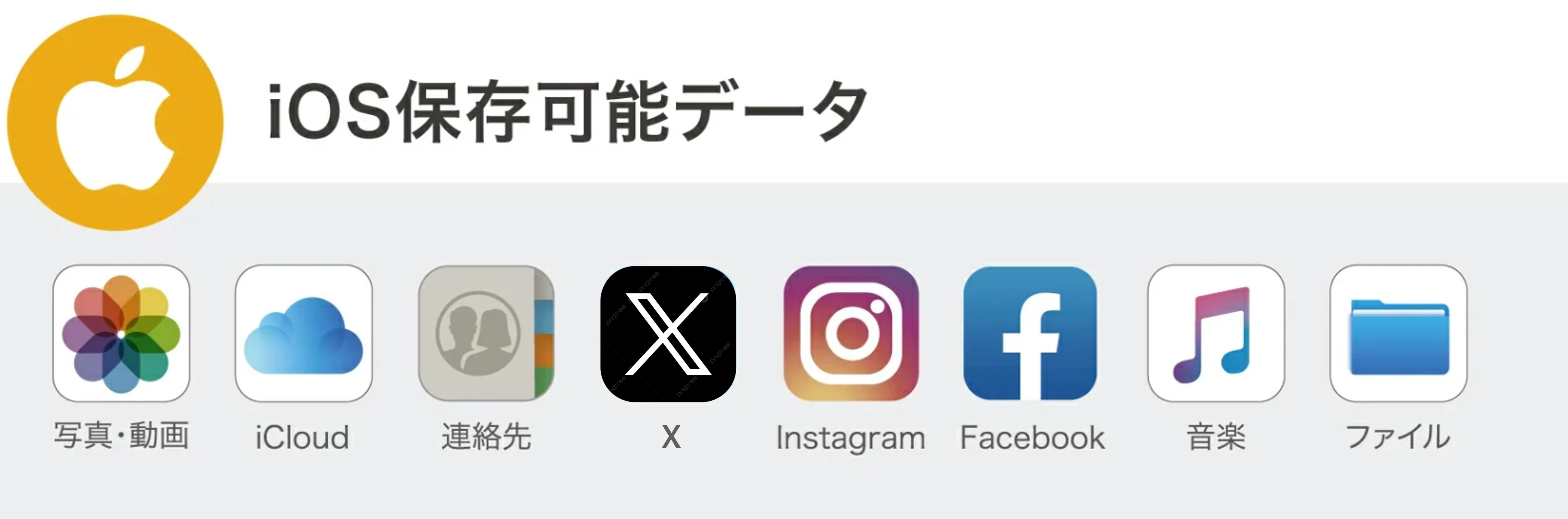 保存可能データ