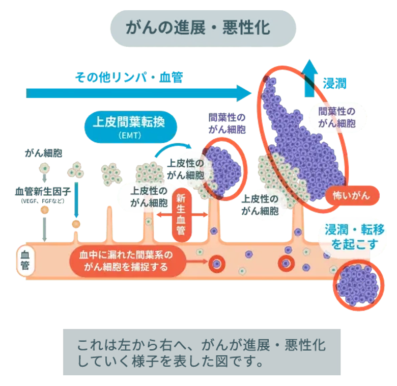 マイクロCTCで全身のがんリスクが検出される仕組み