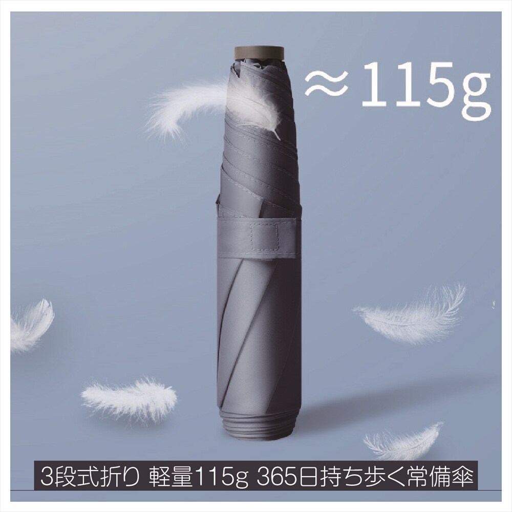 365日持ち歩く常備傘