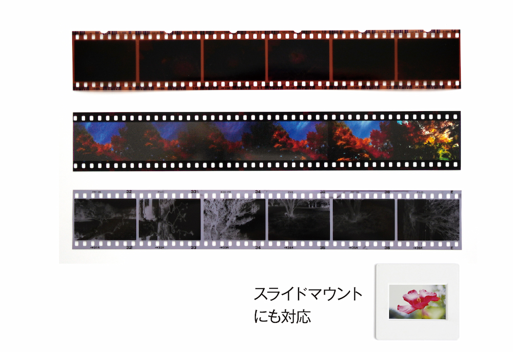 35mmフィルムをスキャン