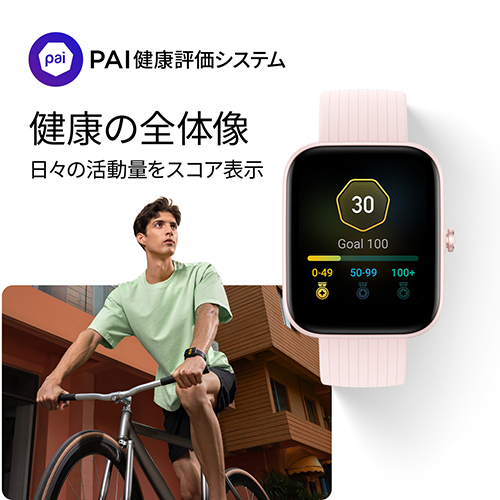 PAI健康評価システム