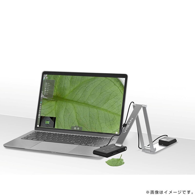 ギャラリー