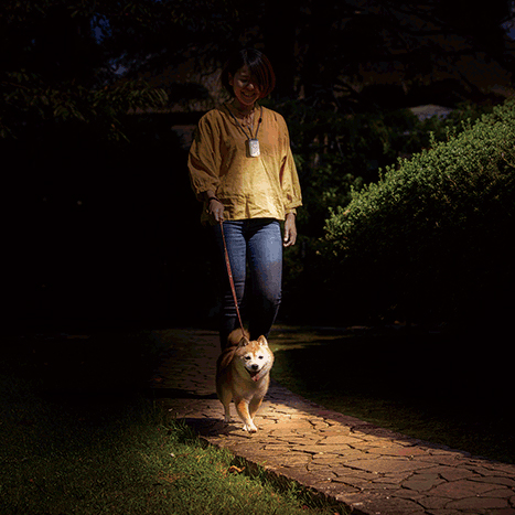 日常使いから非常時まで