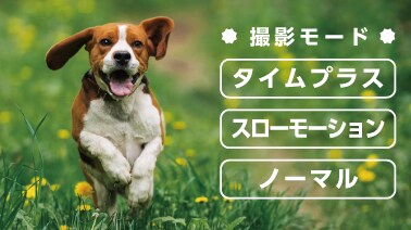 撮影バリエーションも自由自在
