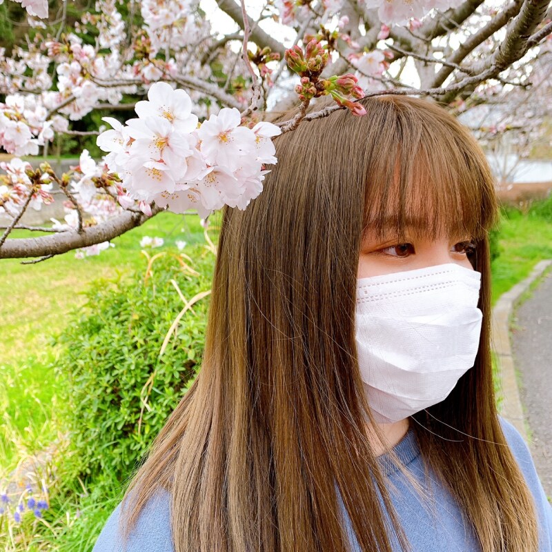 ギャラリー