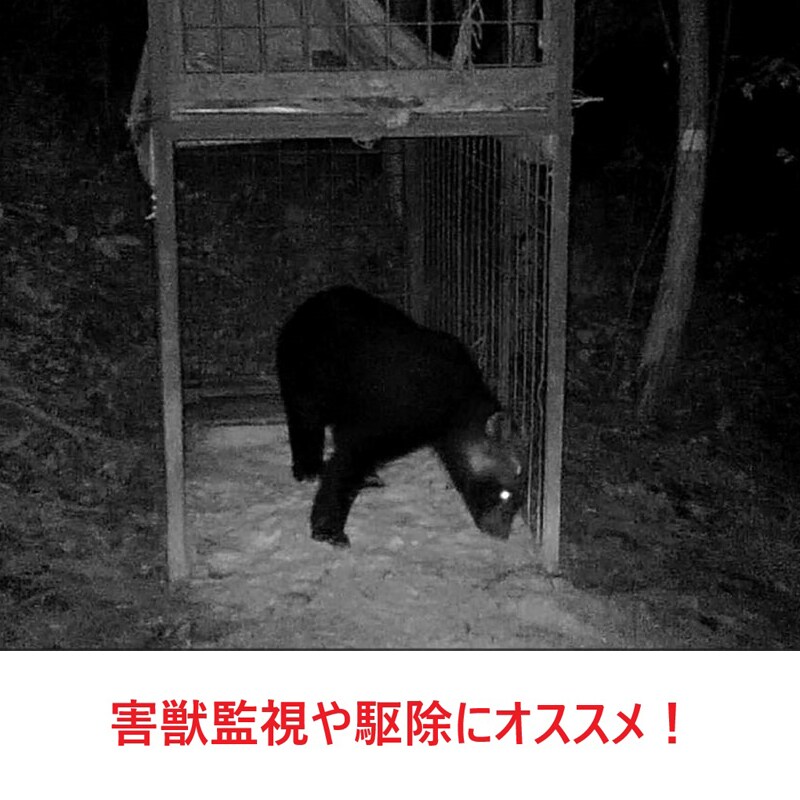 防水仕様＆乾電池採用のため屋内だけでなく屋外でも使用可能