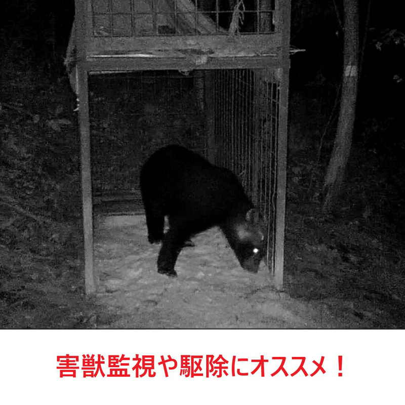 防水仕様＆乾電池採用のため屋内だけでなく屋外でも使用可能