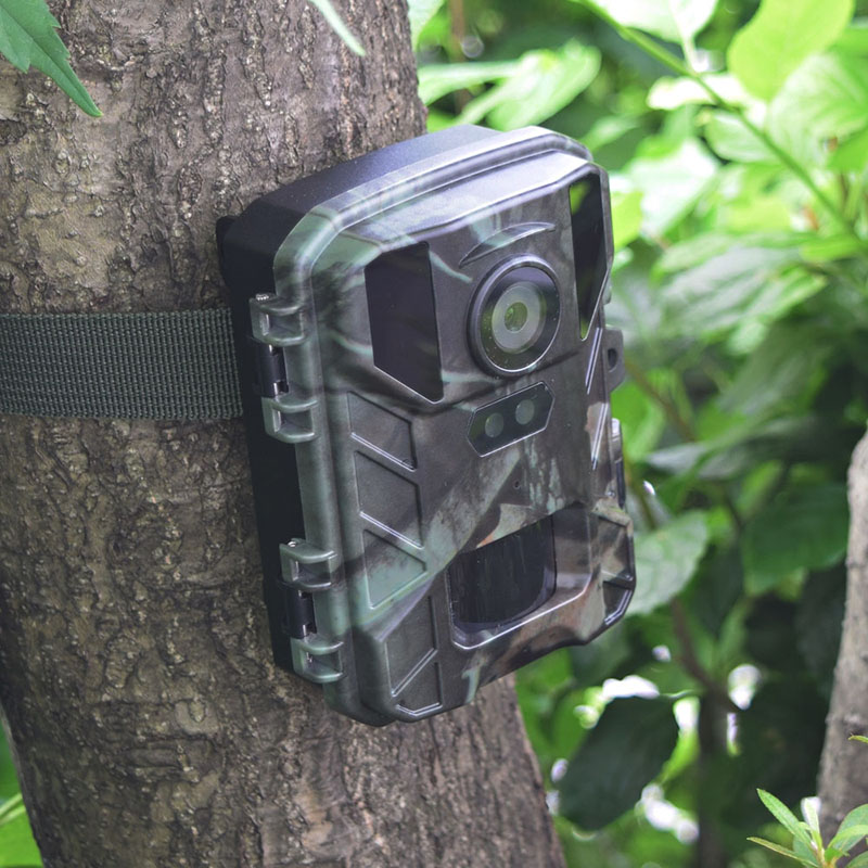 赤外線無人撮影 4Kカメラ STR-MiNi800｜ソースネクスト