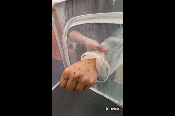 バンド装着前
