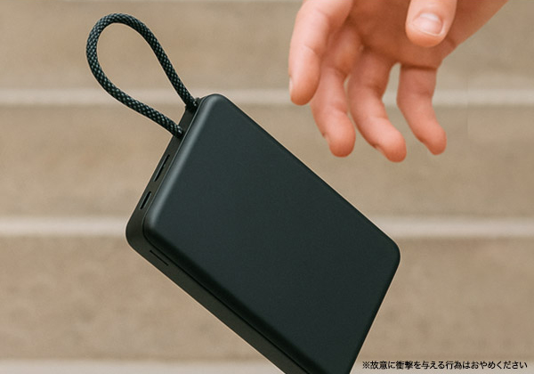 極めて高い安全性を実現