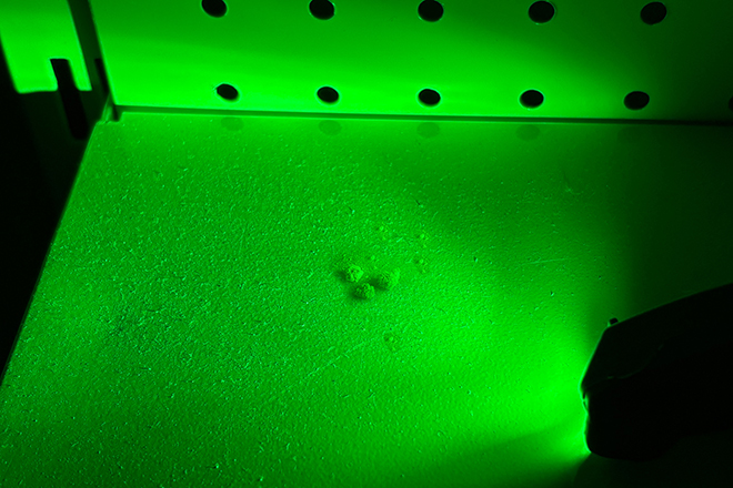 グリーンライトで隠れたホコリを完全可視化