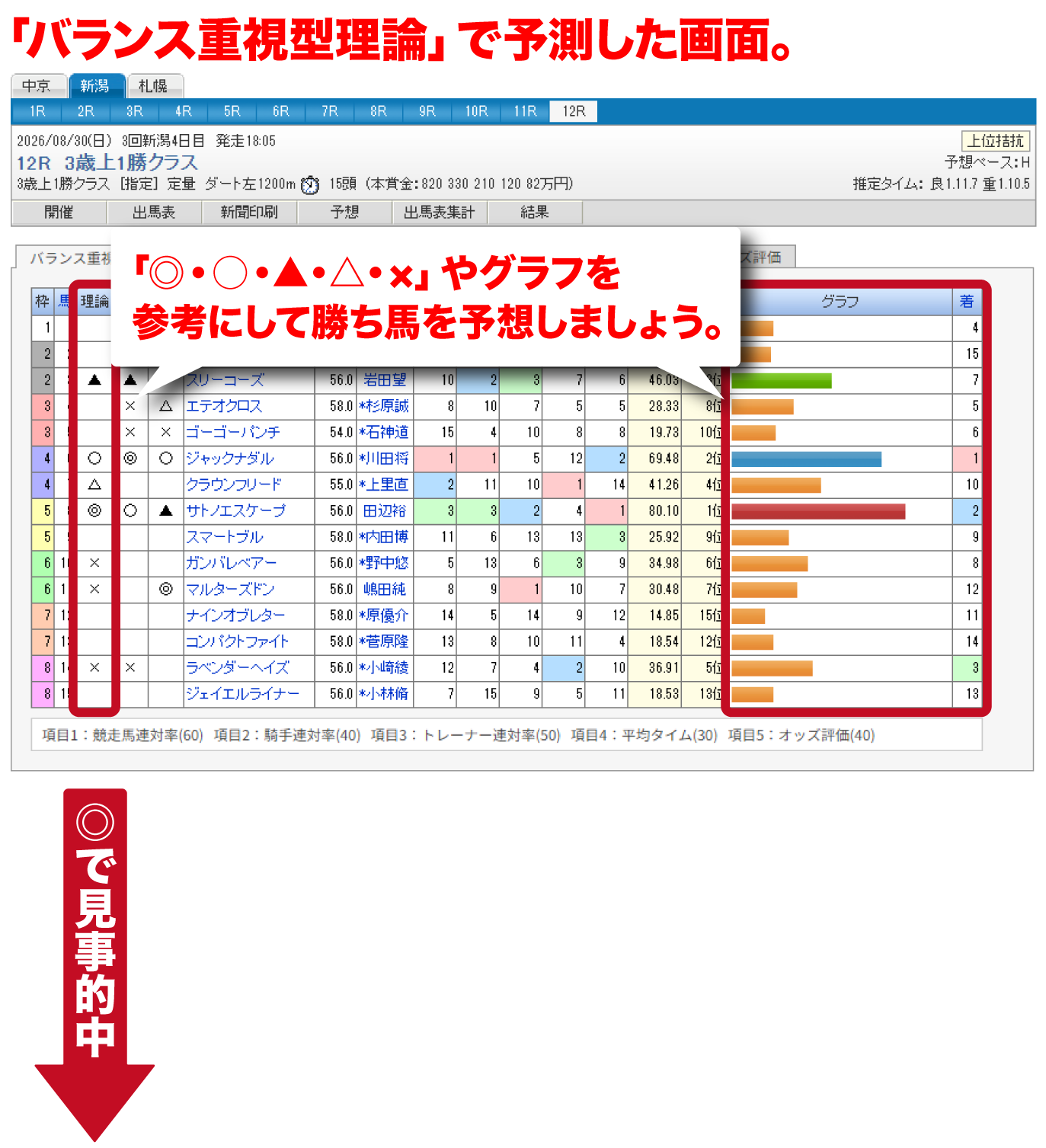 「バランス重視型理論」で予想した時の画面イメージ
