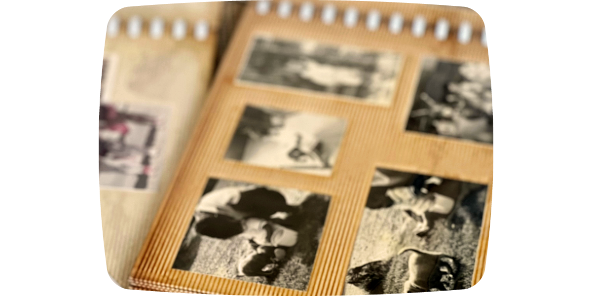 とってあるだけ、ではもったいない