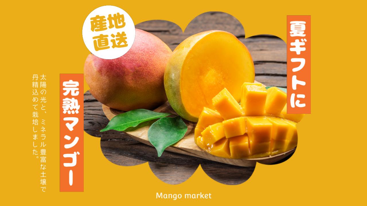 動画と画像テンプレートが使い放題