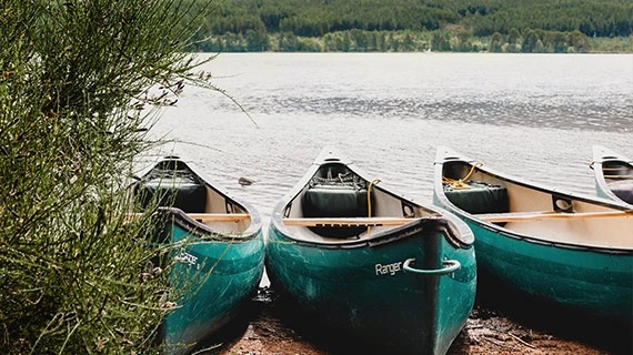 カラーグレーディング