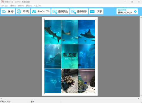大量の写真を1枚にまとめて印刷