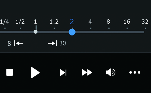 音声付き早見再生