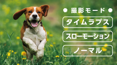撮影バリエーションも自由自在