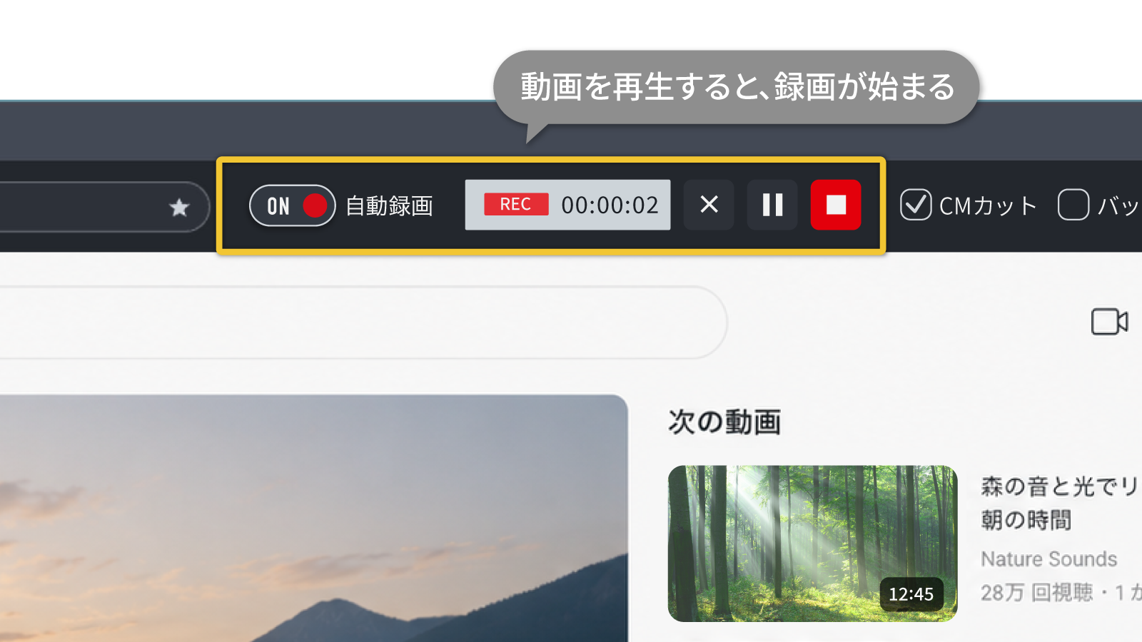 web動画の保存にぴったり