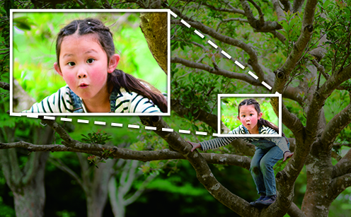 ズーム再生機能