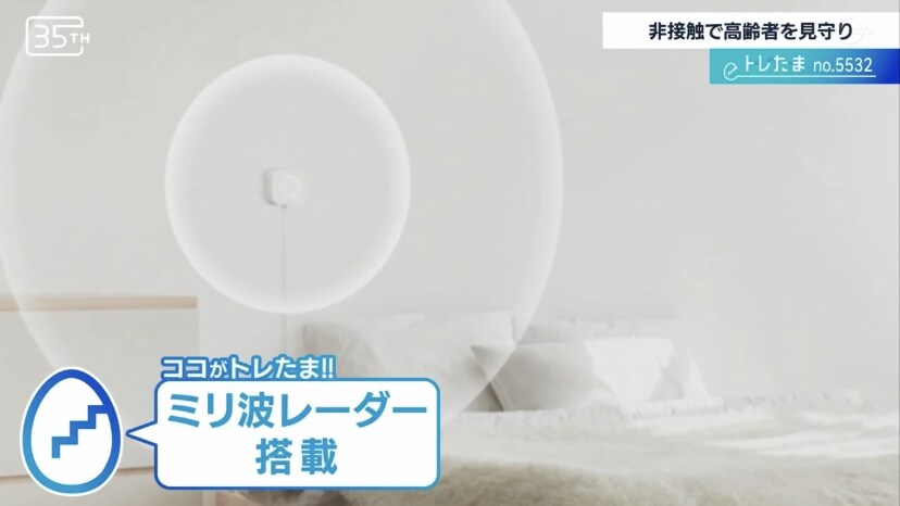 テレビで紹介『WBS』_2