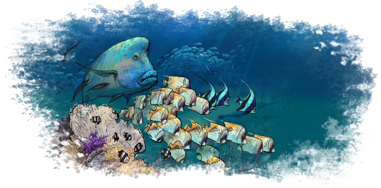 絵画制作ソフトの入門版 Painter Essentials 8 ソースネクスト