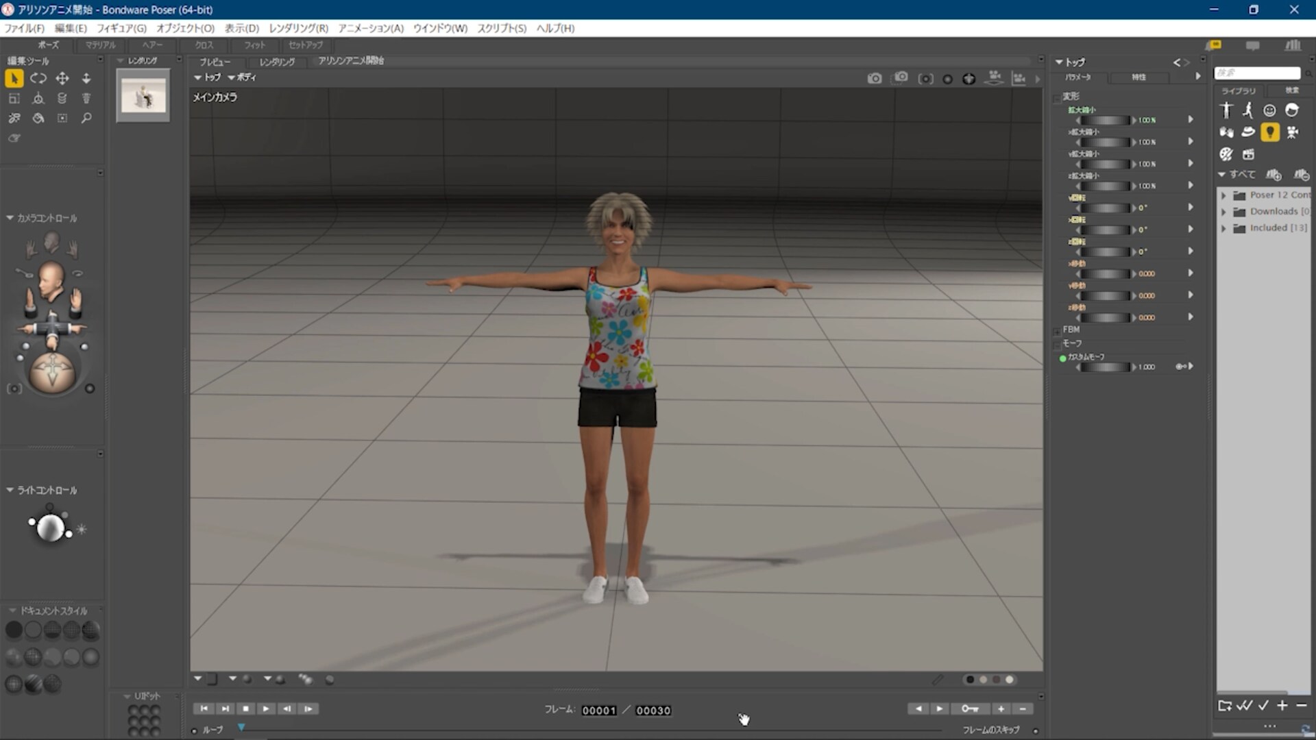 すぐわかる Poser 12 ソースネクスト