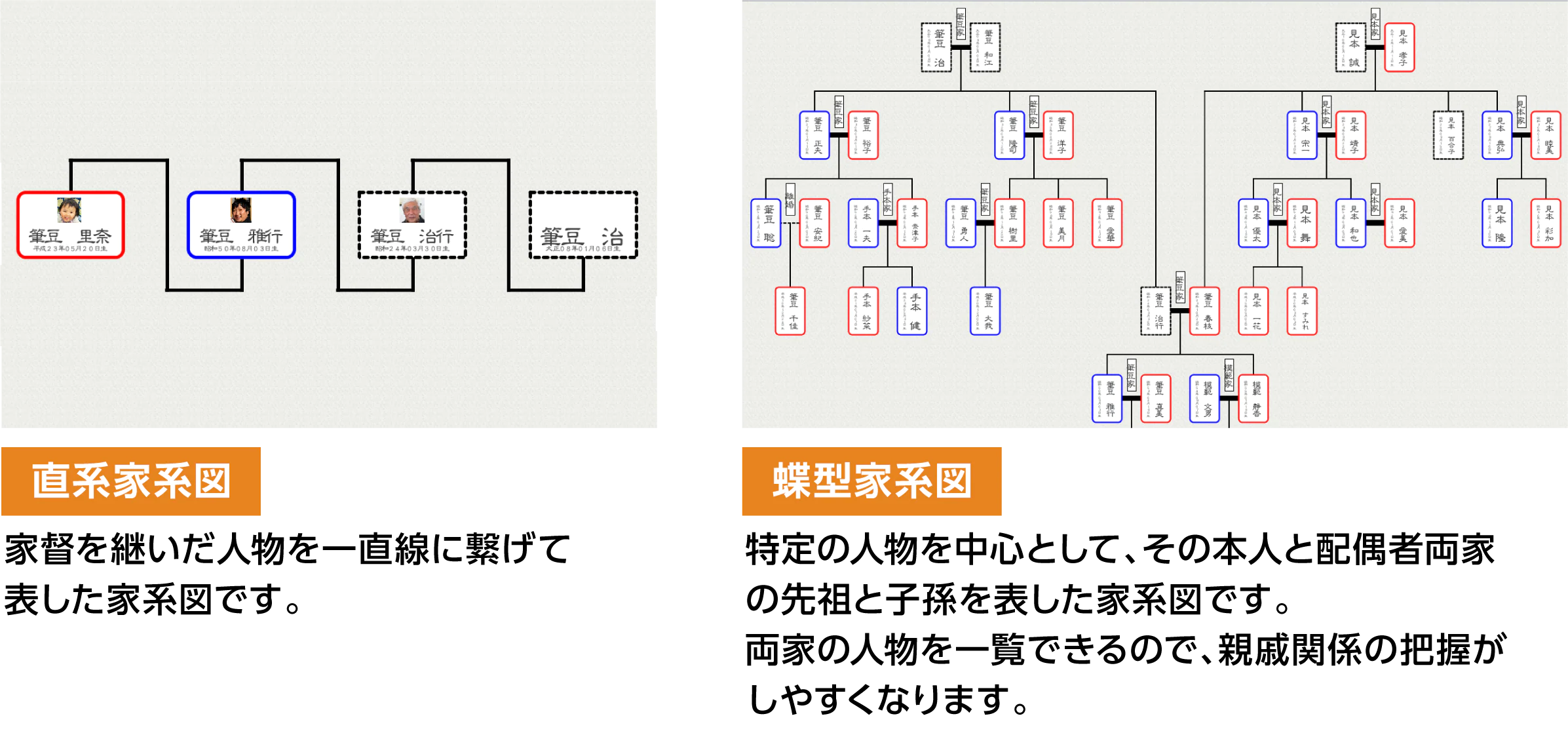 家系図を自分で作成 つくれる家系図3 ソースネクスト