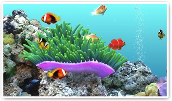 Digifish Clownfish 無料プレゼント ソースネクスト総合サイト