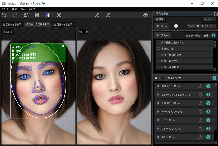 PortraitPro 15-6