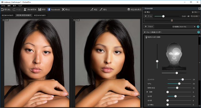 PortraitPro 15-13