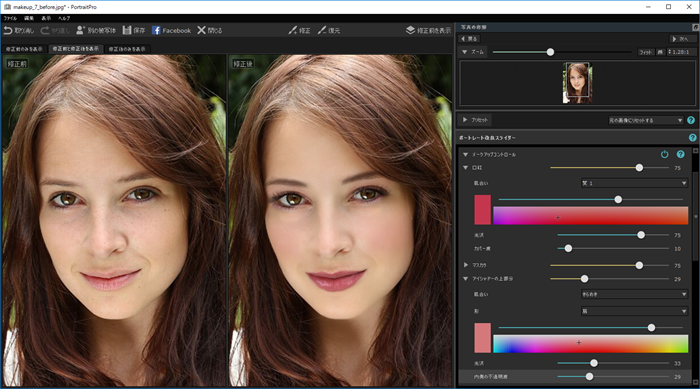 PortraitPro 15-15