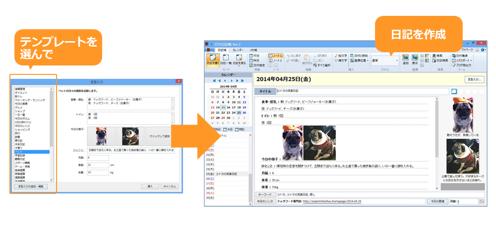 日記ソフト ズバリ 日記帳 Ver 2 ソースネクスト
