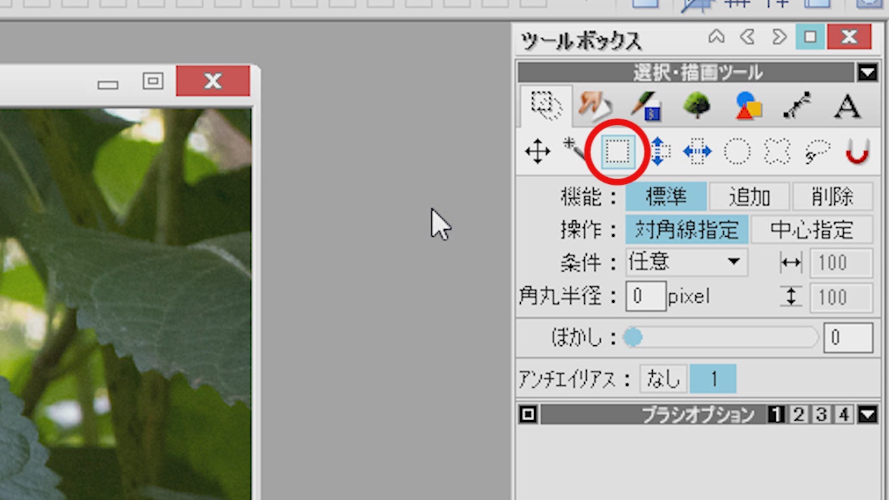 サンプル画像05