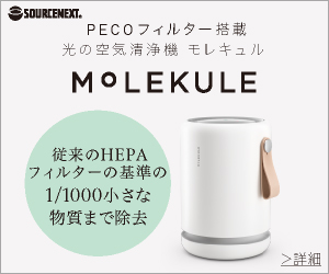 molecule（モレキュル）