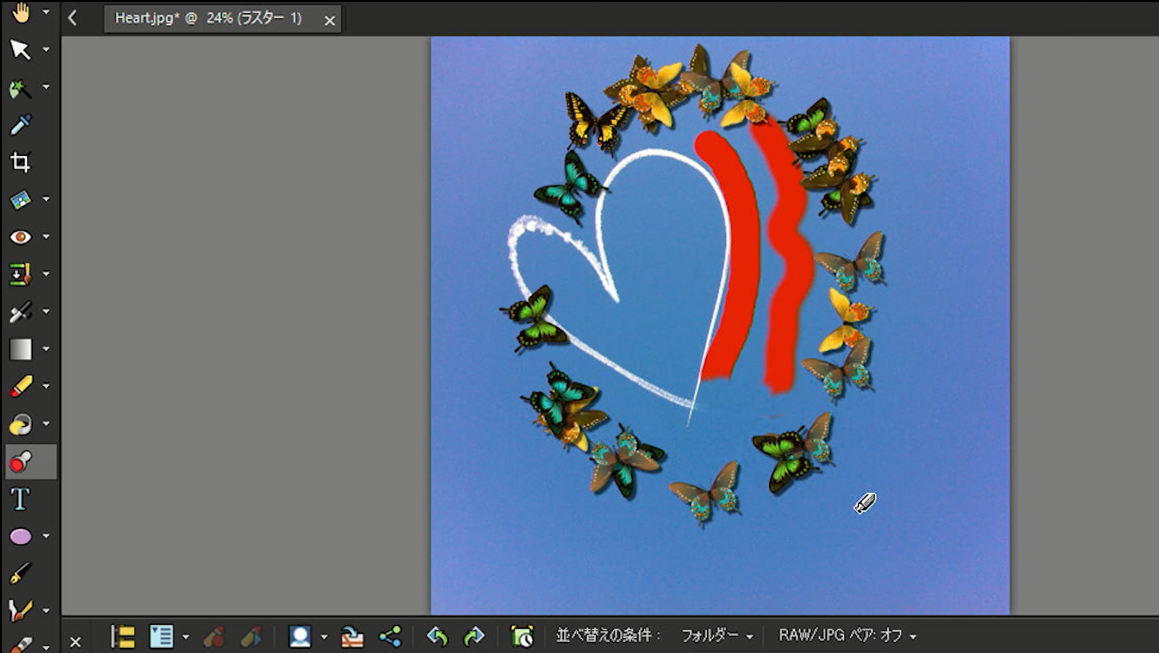 解説ビデオ すぐわかる Paintshop Pro ソースネクスト ソースネクスト