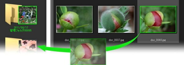 products-photolife-pt1-3-1