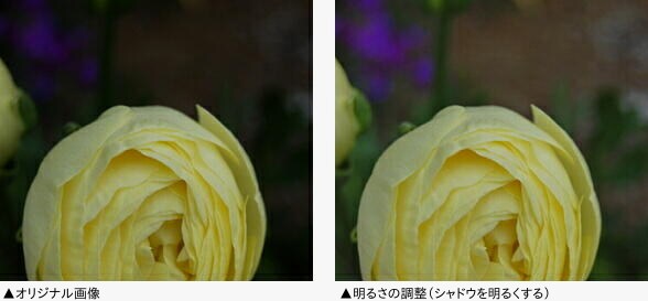 products-photolife-pt3-2-2_3
